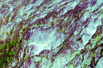 AP 129A1